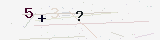custom_captcha