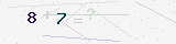 custom_captcha