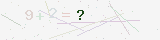 custom_captcha