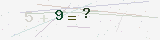 custom_captcha