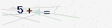custom_captcha